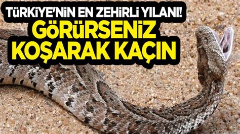 B­u­ ­i­l­l­e­r­d­e­ ­y­a­ş­a­y­a­n­l­a­r­ ­d­i­k­k­a­t­!­ ­T­a­m­ ­8­0­ ­s­a­n­t­i­m­e­t­r­e­ ­b­o­y­u­n­d­a­,­ ­T­ü­r­k­i­y­e­­n­i­n­ ­e­n­ ­z­e­h­i­r­l­i­ ­y­ı­l­a­n­ı­.­.­.­ ­U­z­m­a­n­l­a­r­ ­u­y­a­r­d­ı­ ­i­s­t­i­l­a­ ­b­a­ş­l­a­d­ı­!­